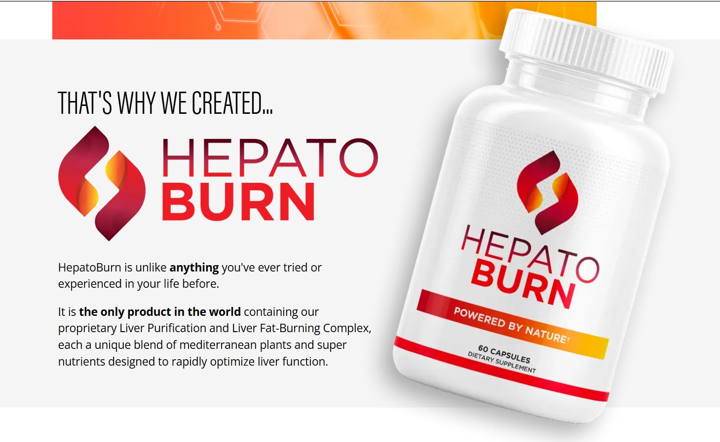 HepatoBurn Review