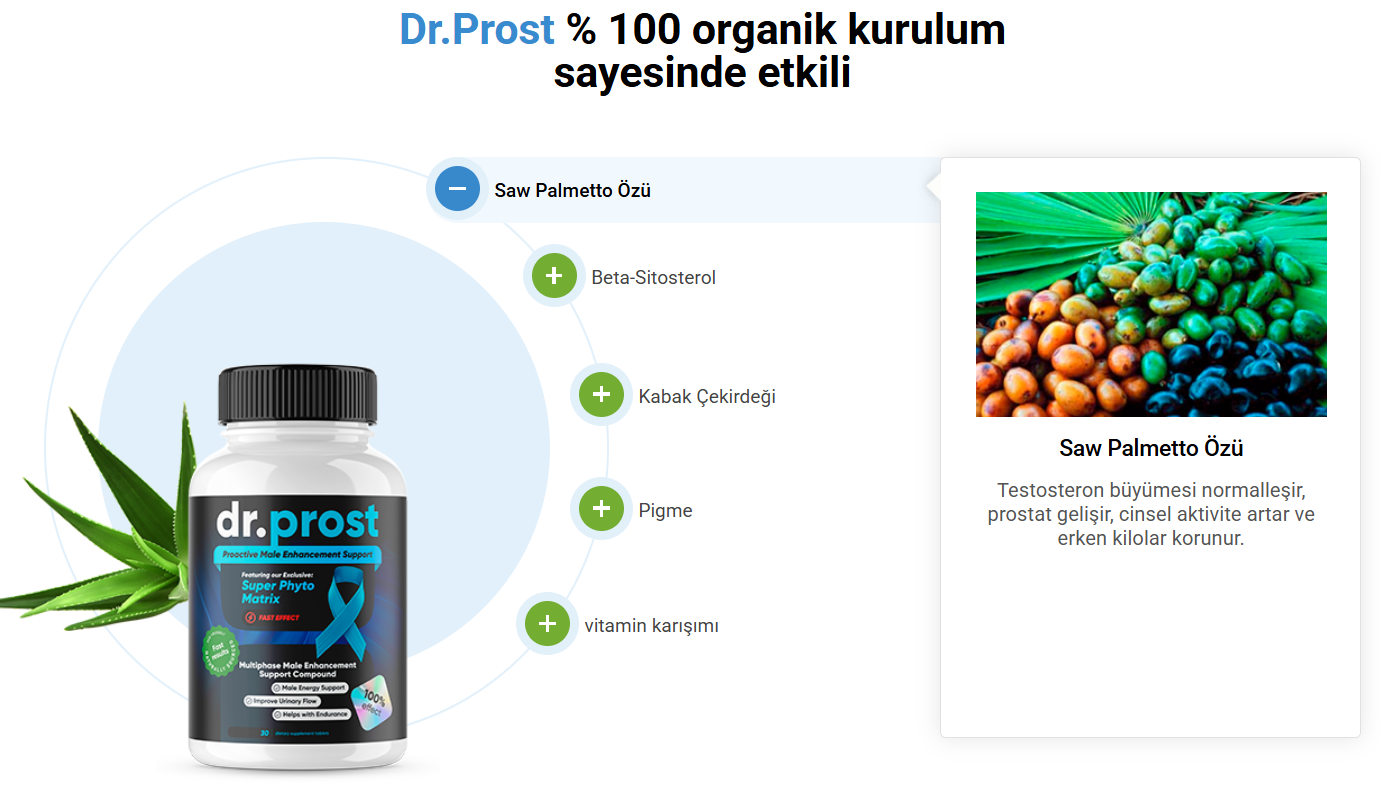 Dr.prost 2