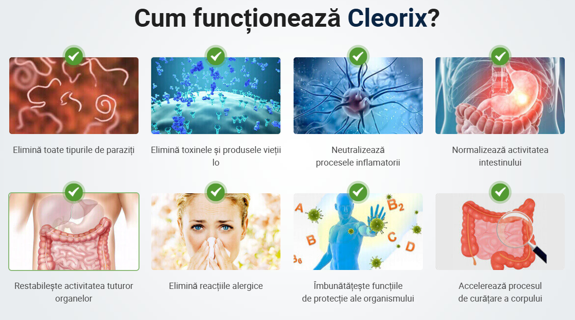 Cleorix 2