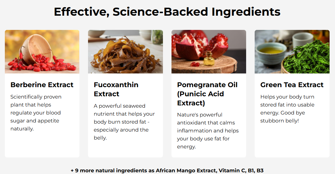 Purisaki Berberine Patches Ingredients